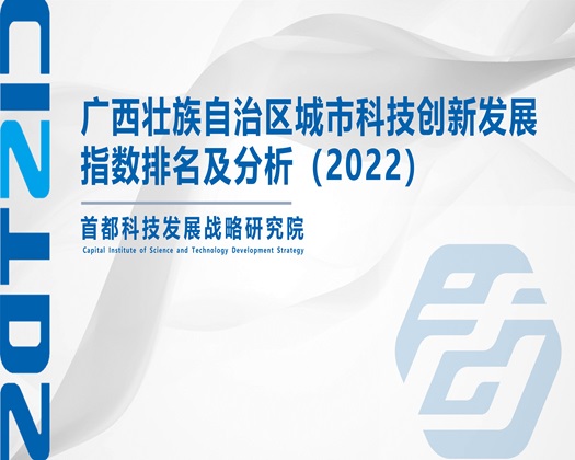 美女下面被狂操黄色【成果发布】广西壮族自治区城市科技创新发展指数排名及分析（2022）